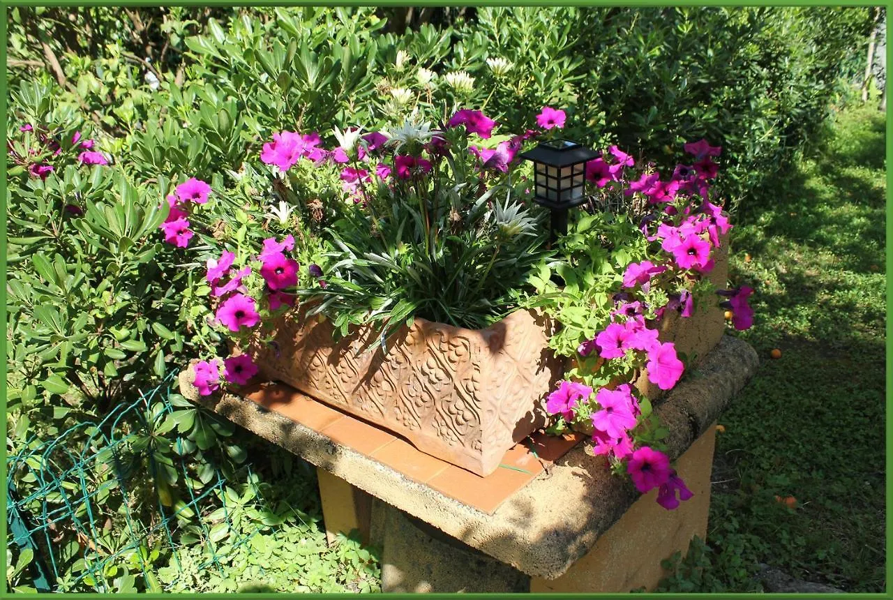 Il Giardino Segreto Villa Lerici Holiday home