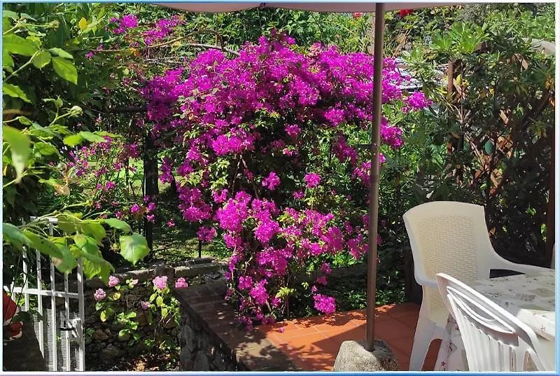 Il Giardino Segreto Villa Lerici